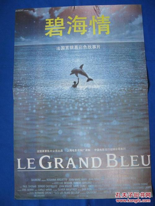 慕尼黑工业大学Economics Degree Certificate